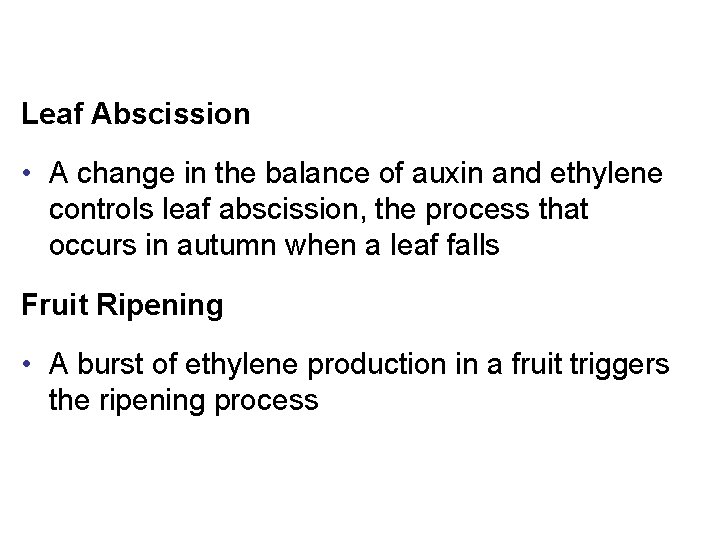 Leaf Abscission • A change in the balance of auxin and ethylene controls leaf