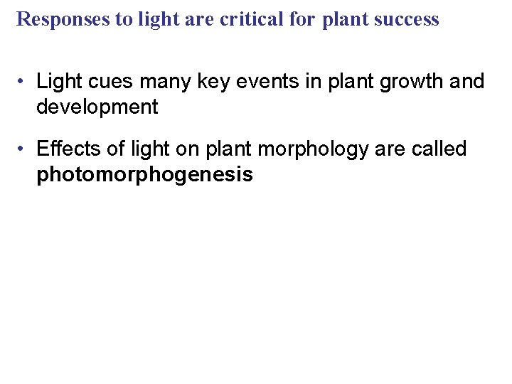 Responses to light are critical for plant success • Light cues many key events