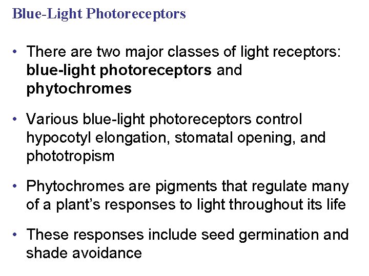 Blue-Light Photoreceptors • There are two major classes of light receptors: blue-light photoreceptors and
