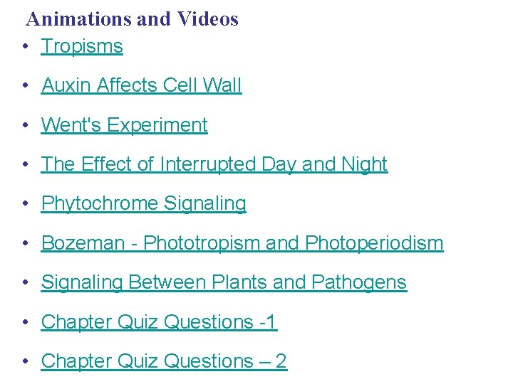 Animations and Videos • Tropisms • Auxin Affects Cell Wall • Went's Experiment •