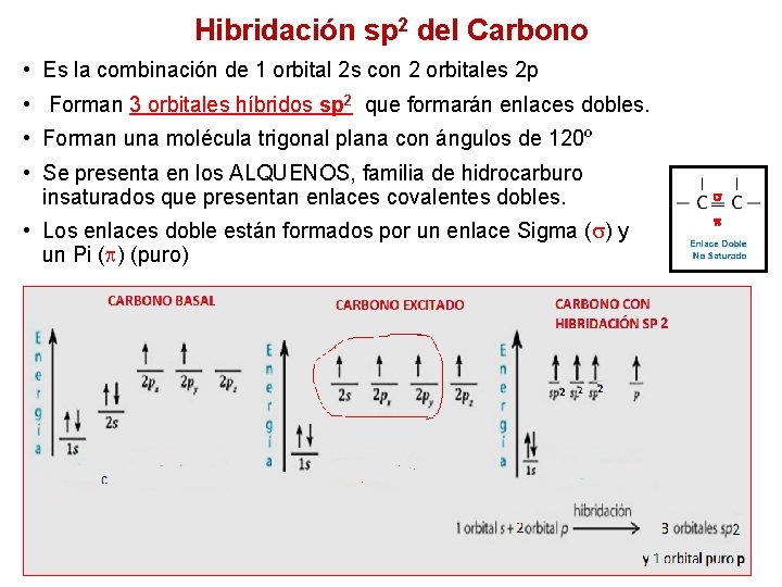 Hibridación sp 2 del Carbono • Es la combinación de 1 orbital 2 s