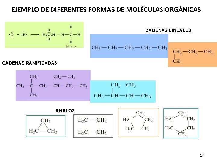 EJEMPLO DE DIFERENTES FORMAS DE MOLÉCULAS ORGÁNICAS CADENAS LINEALES CADENAS RAMIFICADAS ANILLOS 14 