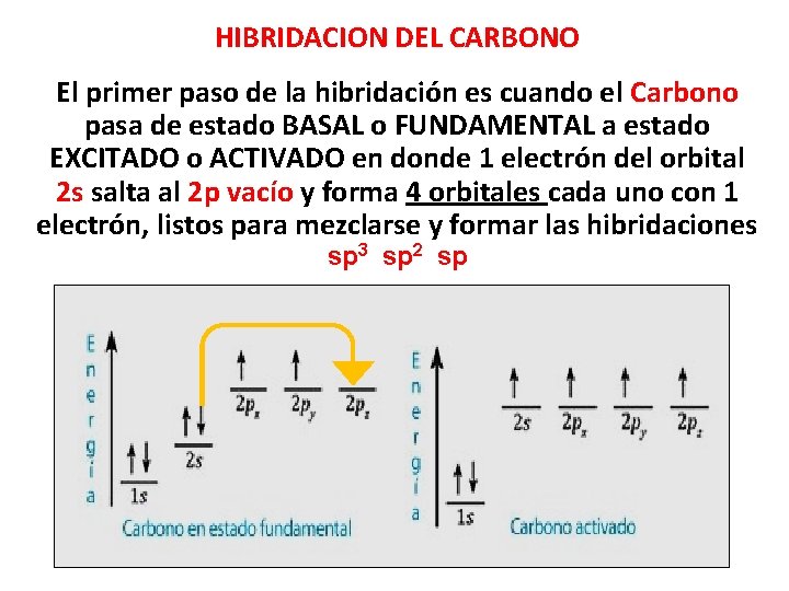 HIBRIDACION DEL CARBONO El primer paso de la hibridación es cuando el Carbono pasa