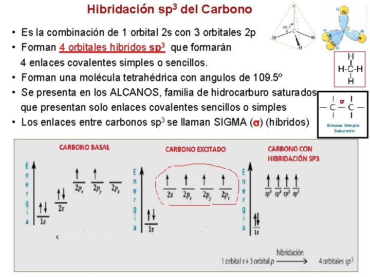 Hibridación sp 3 del Carbono • Es la combinación de 1 orbital 2 s