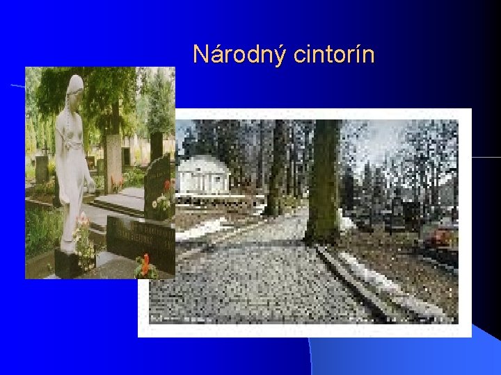 Národný cintorín 