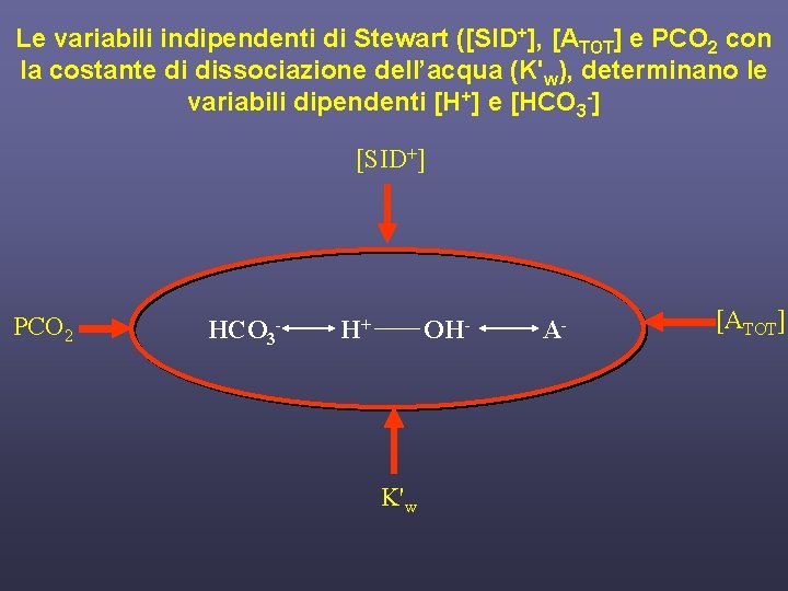 Le variabili indipendenti di Stewart ([SID+], [ATOT] e PCO 2 con la costante di