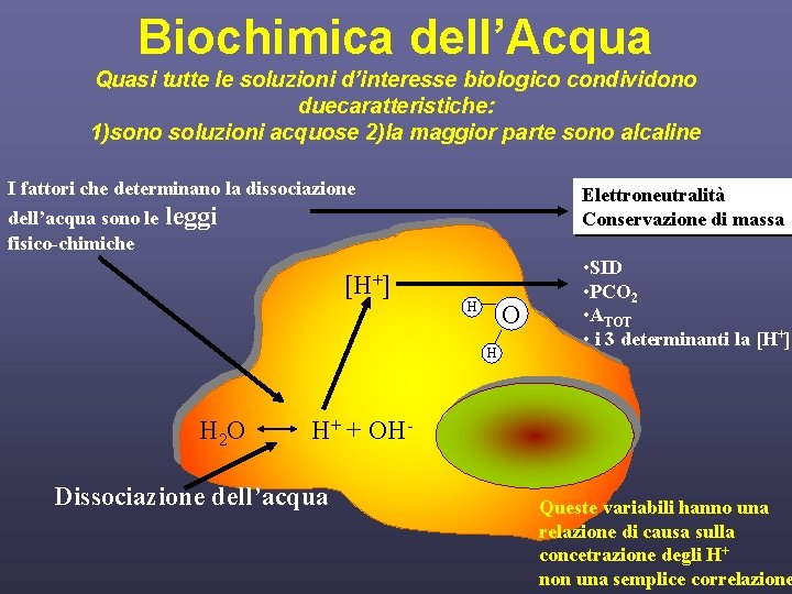 Biochimica dell’Acqua Quasi tutte le soluzioni d’interesse biologico condividono duecaratteristiche: 1)sono soluzioni acquose 2)la