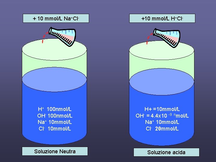 + 10 mmol/L Na+Cl- +10 mmol/L H+Cl- H+ 100 nmol/L OH- 100 nmol/L Na+