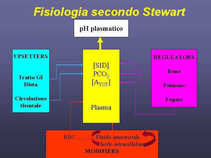 Fisiologia secondo Stewart p. H plasmatico UPSETTERS Tratto GI Dieta Circolazione tissutale REGULATORS [SID]