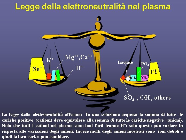 Legge della elettroneutralità nel plasma K+ Na+ Mg++, Ca++ H+ Lactate PO 4 Cl.