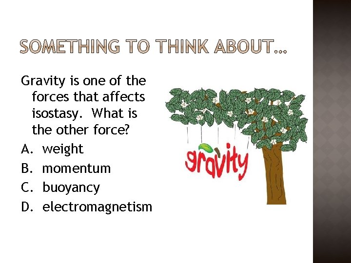 Gravity is one of the forces that affects isostasy. What is the other force?