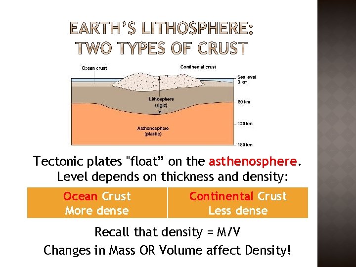 Tectonic plates "float” on the asthenosphere. Level depends on thickness and density: Ocean Crust