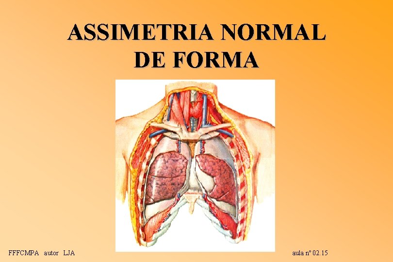 ASSIMETRIA NORMAL DE FORMA FFFCMPA autor LJA aula nº 02. 15 ASSIMETRIA NORMAL DE FORMA FFFCMPA autor LJA aula nº 02. 15