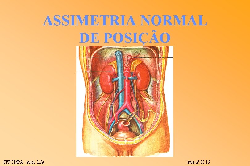 ASSIMETRIA NORMAL DE POSIÇÃO FFFCMPA autor LJA aula nº 02. 16 ASSIMETRIA NORMAL DE POSIÇÃO FFFCMPA autor LJA aula nº 02. 16