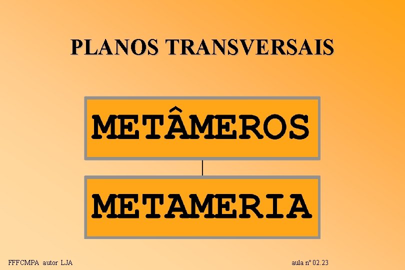 PLANOS TRANSVERSAIS FFFCMPA autor LJA aula nº 02. 23 PLANOS TRANSVERSAIS FFFCMPA autor LJA aula nº 02. 23