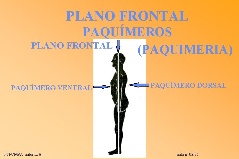 PLANO FRONTAL PAQUÍMEROS PLANO FRONTAL (PAQUIMERIA) PAQUÍMERO VENTRAL FFFCMPA autor LJA PAQUÍMERO DORSAL aula PLANO FRONTAL PAQUÍMEROS PLANO FRONTAL (PAQUIMERIA) PAQUÍMERO VENTRAL FFFCMPA autor LJA PAQUÍMERO DORSAL aula