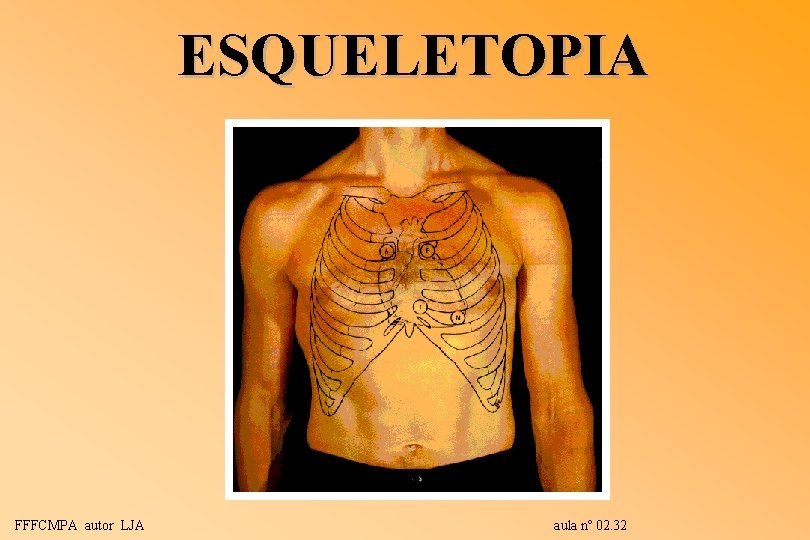 ESQUELETOPIA FFFCMPA autor LJA aula nº 02. 32 ESQUELETOPIA FFFCMPA autor LJA aula nº 02. 32