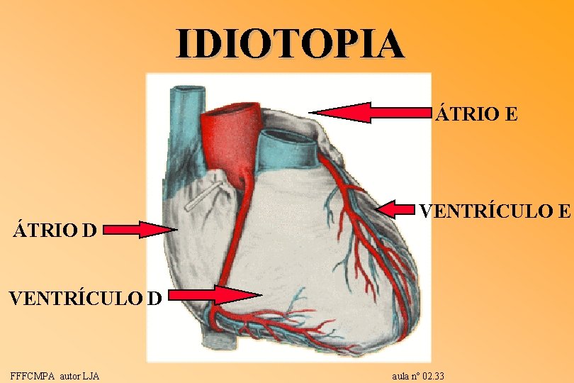 IDIOTOPIA ÁTRIO E ÁTRIO D VENTRÍCULO E VENTRÍCULO D FFFCMPA autor LJA aula nº IDIOTOPIA ÁTRIO E ÁTRIO D VENTRÍCULO E VENTRÍCULO D FFFCMPA autor LJA aula nº