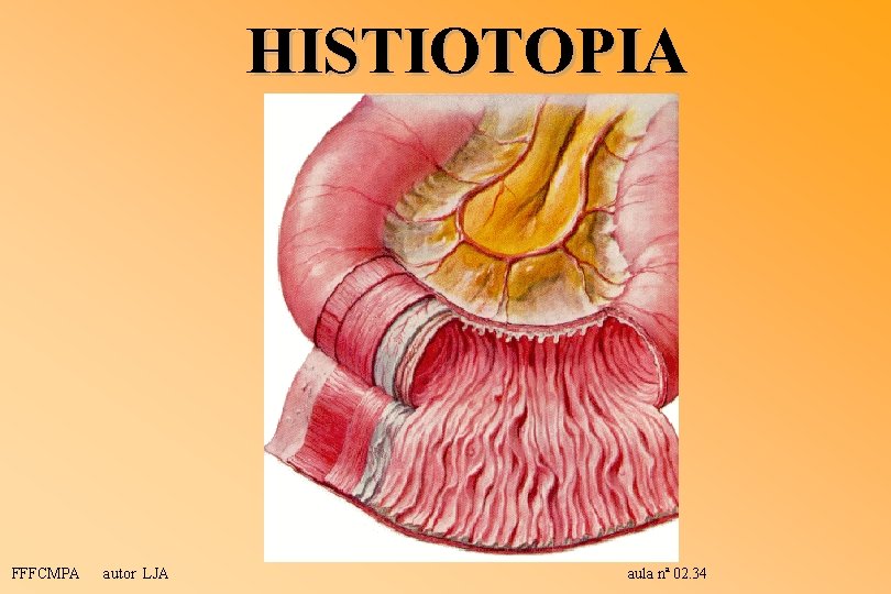 HISTIOTOPIA FFFCMPA autor LJA aula nª 02. 34 HISTIOTOPIA FFFCMPA autor LJA aula nª 02. 34