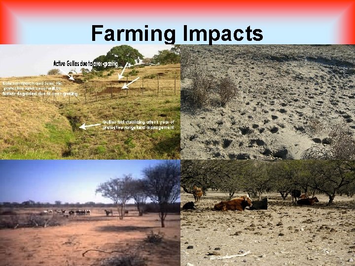 Farming Impacts 