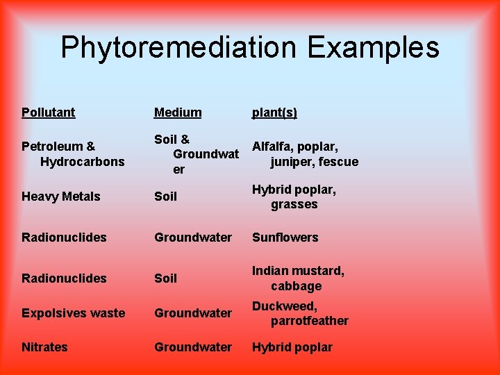 Phytoremediation Examples Pollutant Medium plant(s) Petroleum & Hydrocarbons Soil & Groundwat er Alfalfa, poplar,