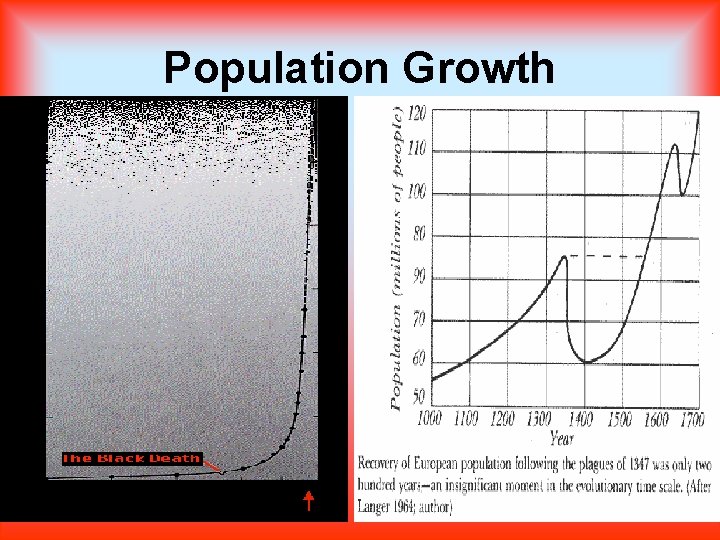 Population Growth 