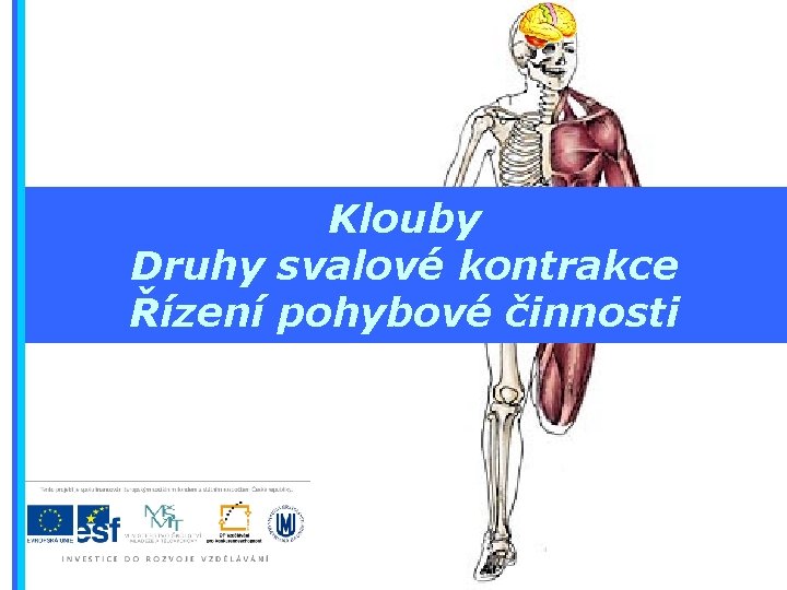 Klouby Druhy svalové kontrakce Řízení pohybové činnosti 