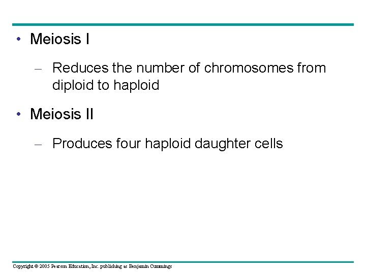  • Meiosis I – Reduces the number of chromosomes from diploid to haploid