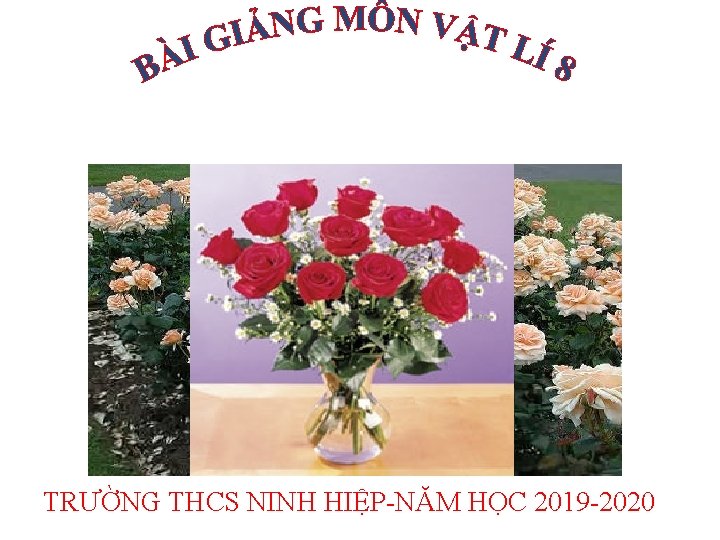 TRƯỜNG THCS NINH HIỆP-NĂM HỌC 2019 -2020 