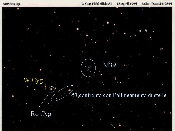 M 39 W Cyg 53 confronto con l’allineamento di stelle Ro Cyg 