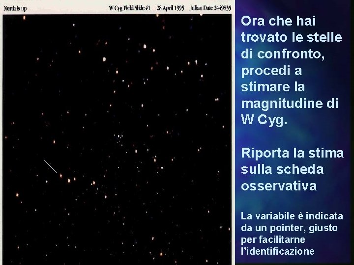 Ora che hai trovato le stelle di confronto, procedi a stimare la magnitudine di