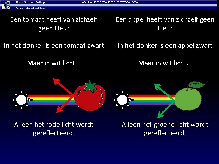 LICHT – SPECTRUM EN KLEUREN ZIEN Een tomaat heeft van zichzelf geen kleur Een