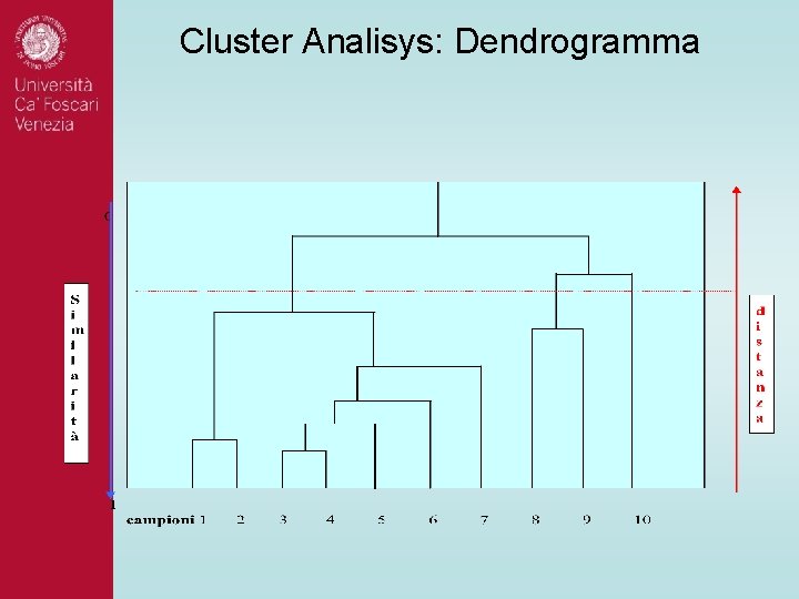 Cluster Analisys: Dendrogramma Cluster Analisys: Dendrogramma
