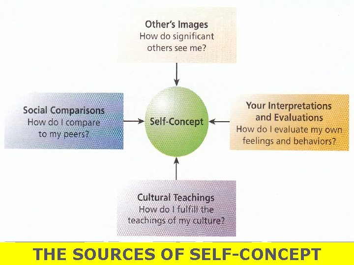 THE SOURCES OF SELF-CONCEPT 
