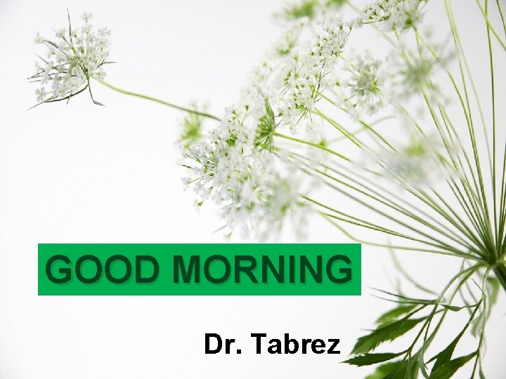 GOOD MORNING Dr. Tabrez 