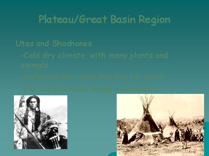 Plateau/Great Basin Region Utes and Shoshones -Cold dry climate, with many plants and animals