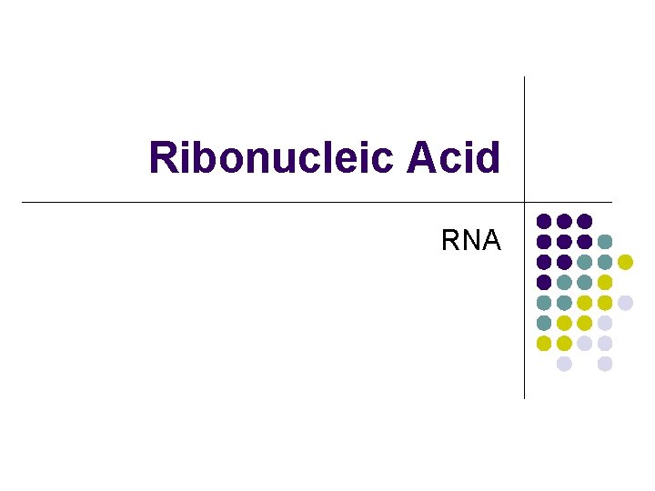 Ribonucleic Acid RNA 