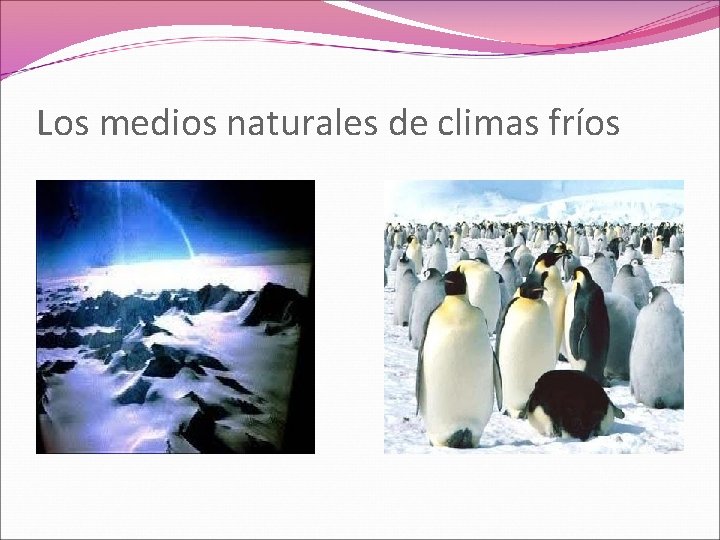 Los medios naturales de climas fríos 