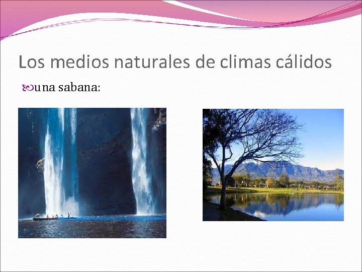 Los medios naturales de climas cálidos una sabana: 