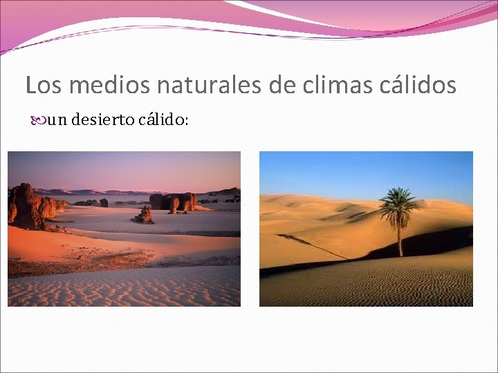 Los medios naturales de climas cálidos un desierto cálido: 