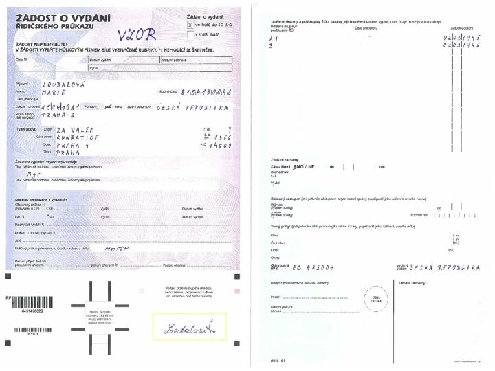 SERVICE TYPE #2 #gov 2 citizens ELECTRONIC FILING ID CARD / DRIVER'S LICENSE TAX