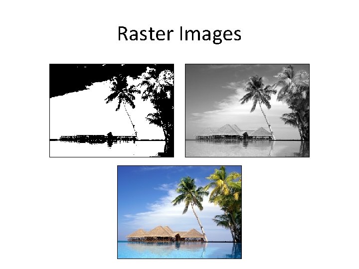 Raster Images 
