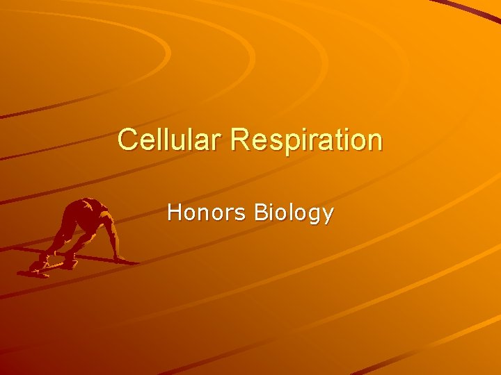 Cellular Respiration Honors Biology 