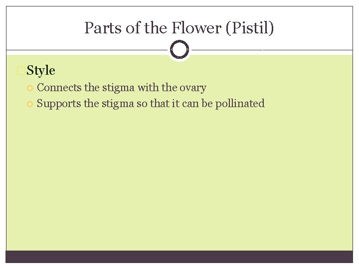 Parts of the Flower (Pistil) �Style Connects the stigma with the ovary Supports the