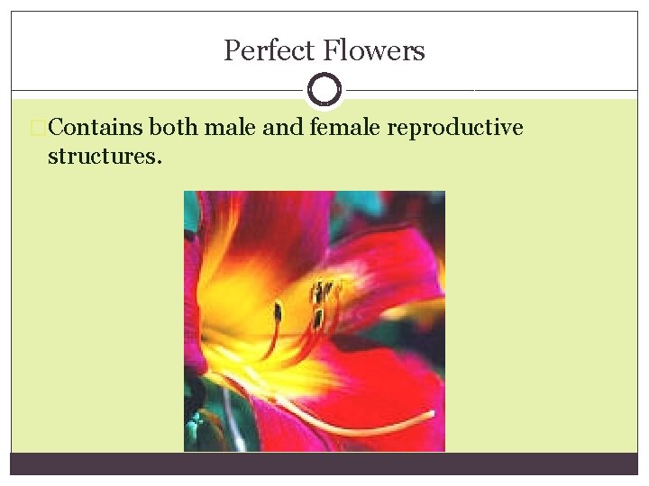 Perfect Flowers �Contains both male and female reproductive structures. 