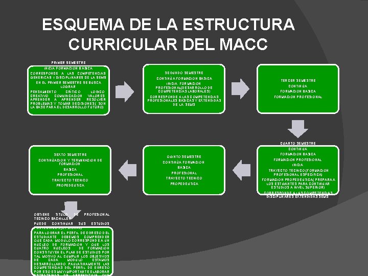 ESQUEMA DE LA ESTRUCTURA CURRICULAR DEL MACC PRIMER SEMESTRE INICIA FORMACIÓN BÁSICA CORRESPONDE A