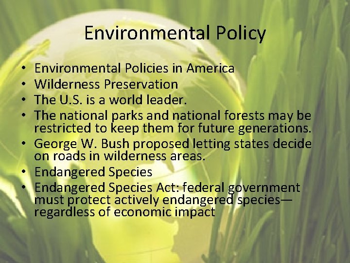 Environmental Policy Environmental Policies in America Wilderness Preservation The U. S. is a world