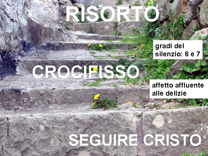 RISORTO gradi del silenzio: 6 e 7 CROCIFISSO affetto affluente alle delizie SEGUIRE CRISTO