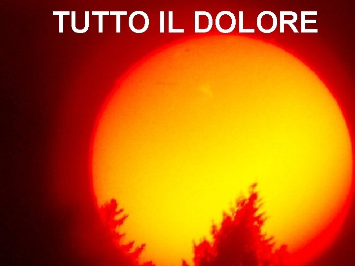 TUTTO IL DOLORE 