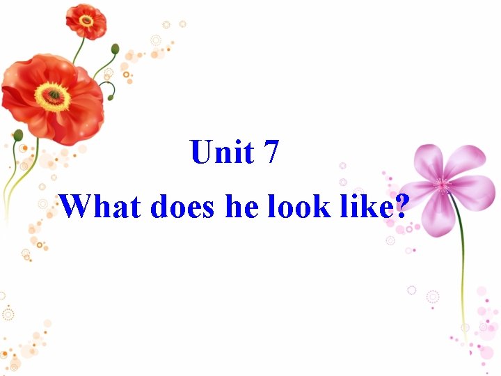 Unit 7 What does he look like? 